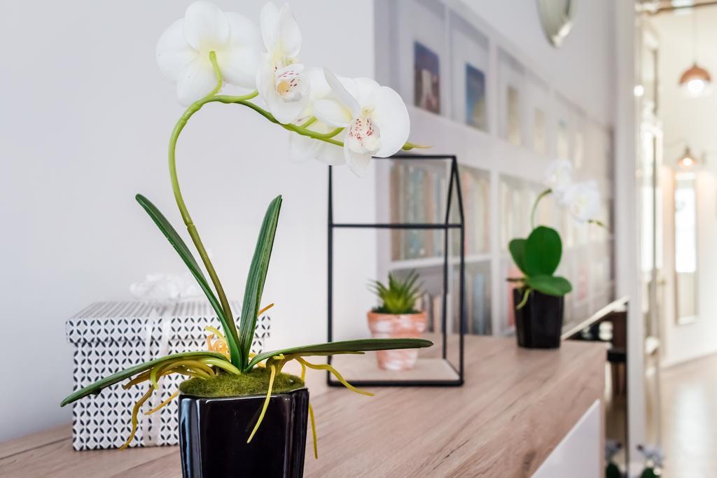 Bpr Purehome Apartment Budapest Bagian luar foto